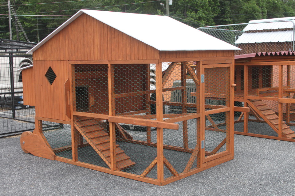 Quality Chicken Coops for the Safety and Security of Your Hens