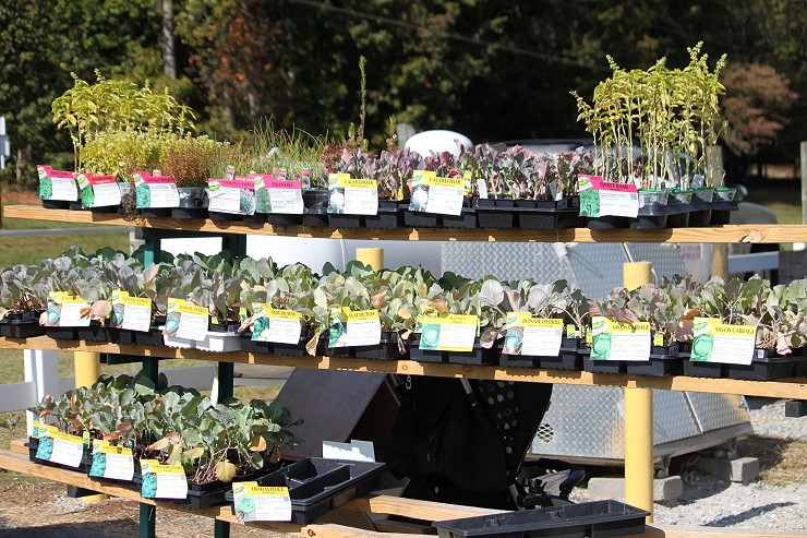 plants Get your plants and Seeds to start your garden at Cherokee Feed and Seed in Ball Ground, GA