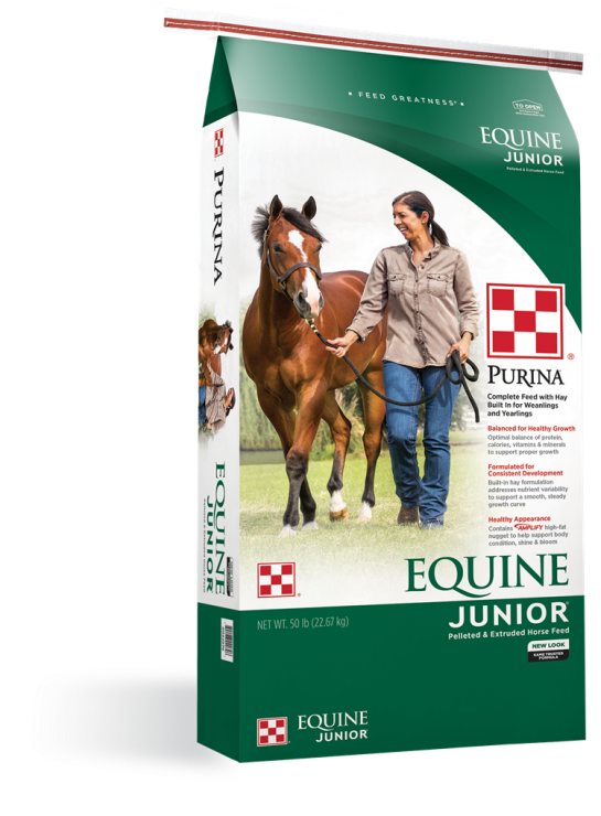 purina equine junior horse feed