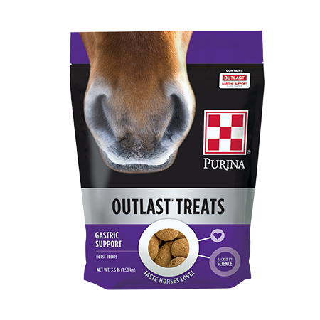 Stop into Cherokee Feed & Seed located in Ball Ground, and Gainesville, Georgia for any and all of your equine needs including Purina Outlast Horse Treats