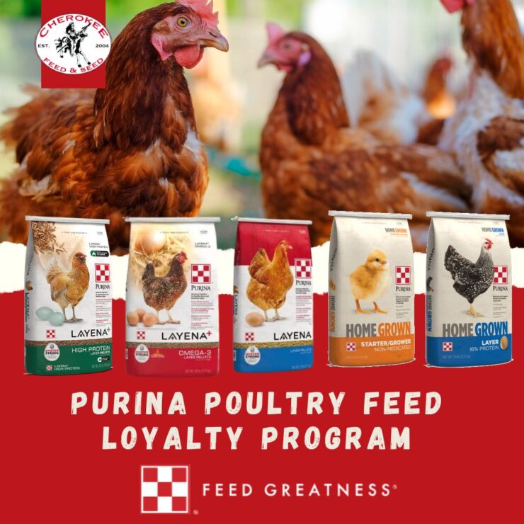 Purina Poultry Feed Loyalty Program - buy 10 get 1 free on select Purina Feeds