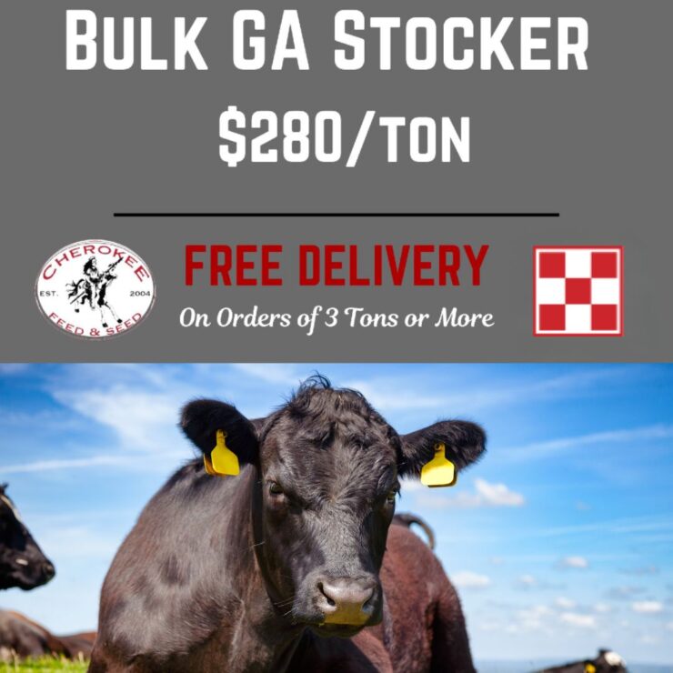 Fill Your Cattle Feeders this Fall: 🍂🐄 Ready to fill your cattle feeders this fall? Look no further!

📣 Bulk GA Stocker now available at just $280/ton!