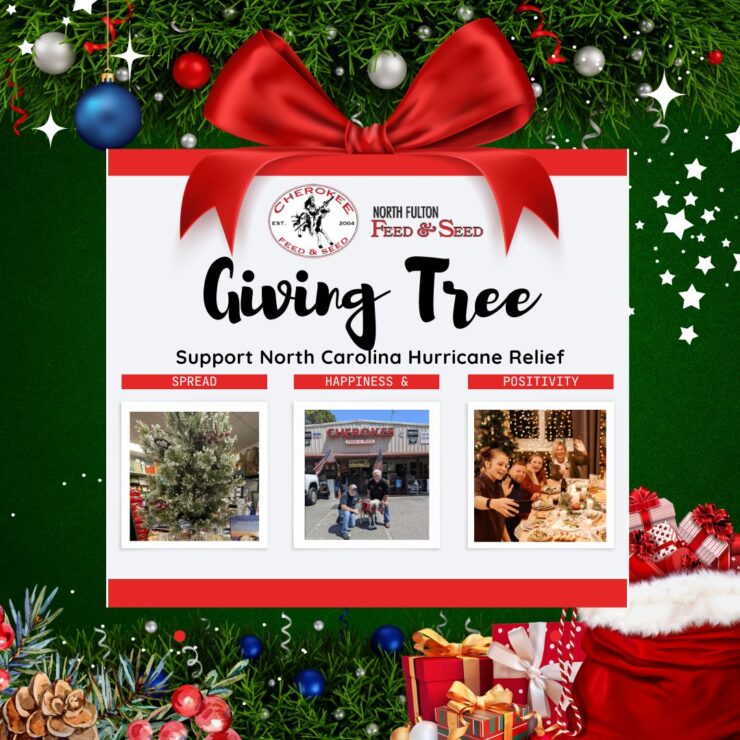 Giving Tree Initiative to support North Carolina hurricane relief