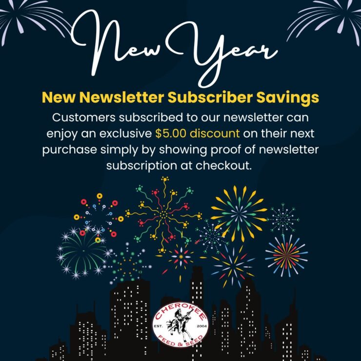 New Year, New Newsletter Subscriber Savings: sign up now to get a $5 discount at the stores