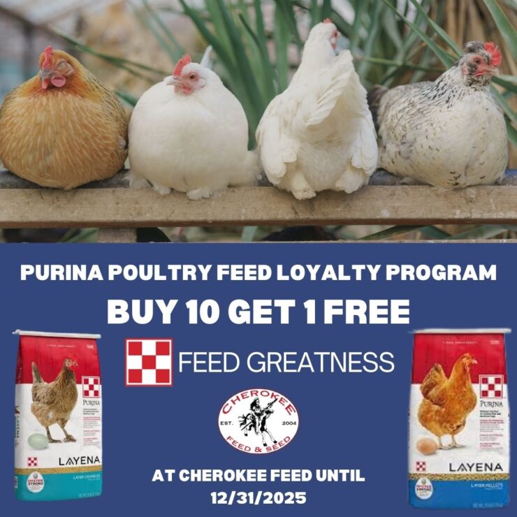 Purina Poultry Feed Loyalty Program buy 10 get 1 free on select bags
